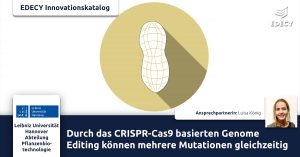 CRISPR-Cas9-basierten-Genome-Editing